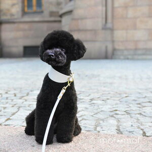  J[  O[ Ch X n[t`[N ɗD k A ɂ SɂȂȂ |jA gCv[  ^ ^ SȂ {v  p ybg 