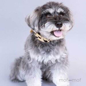 TCY J[ Ip[h Ch X n[t`[N ɂ gCv[ C^O   ^ Aj} ^ _bNX ~j`A_bNX  p ̎ 