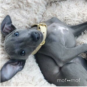  TCYOK J[ x[W X UObY k C|[g ɂ C^O _VA SȂ U[ {v  ^ ^ p  p т 