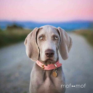 TCY J[ sN X UObY k C|[g ɂ C}i[ C^O SȂ ɂ₳ {v U[  킢  p  т 