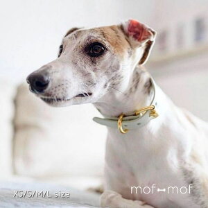 TCY J[  Ch k C|[g ɂ C^O ^ J[IuXEF[f ɗD {v ^ ~gO[ O[  킢  p yb