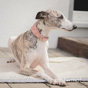 TCY J[  A{Jh X Ch k C|[g ɂ EBybg ^ gCv[ J[IuXEF[f gCv[ ɗD {v C}i[ ^ U