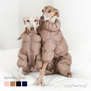 TCY CushyCushy tJo[h_E sN J ubN lCr[ C^O C^Op gCv[h gCv[ hbOEGA nCNIeB h kfUC  ~ ^