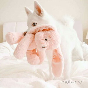 FUR ELISẼr[hbOgC sN ӂӂ p m  VRfނ̃v~ARbg S ^ ^ ^ nhCh v[g MtgbsO A 