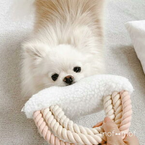 [FUR ELISE] C{[ [vgC hbOgC zCgO[ p m  VRfނ̃v~ARbg S ^ ^ ^ nhCh v[g MtgbsO 