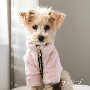 FUR ELISE ttR[g Th/sN R[g  t[X x[W sN p tt ^ ^ v[g MtgbsO A ybgp  킢 tt 