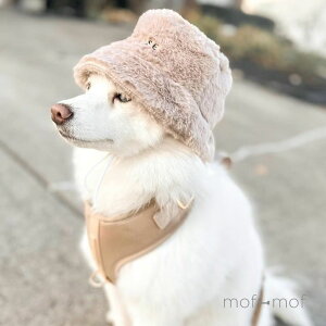 [FUR ELISE] Xm[GWF nbg Th/zCg Xq zCg sN p nbg tt ^ ^v[g MtgbsO A ybgp  킢 