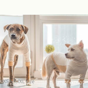 送料無料 サイズ交換OK ハイネックティ クリーム 犬服 お散歩グッズ 北欧 ハイクオリティ ブリンドル 大型犬 小型犬 ストレッチ 高品質 犬 犬用 ドッグウェア ペットウェア おしゃれ かわい