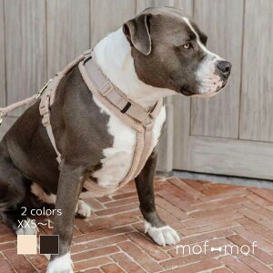 TCY Kentucky Dogwear Y^ \tgn[lX x[W ubN UObY ɂ k  _炩t[Xf v S S ^ ^ ^ 킢  p i