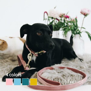  xxbg [h UObY sN u[ ^[RCY }X^[h Ki uh[ u  ^ ^ ȒP  P y g₷ ֗ ybgpi tt