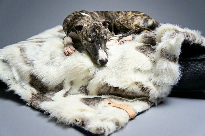 送料無料 ファー ブランケット 犬 アイボリー グレージュ 洗える インポート 北欧 おしゃれ 冬用 犬用ブランケット 中型犬 大型犬 注目のブランド