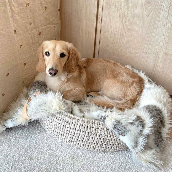 ファー ブランケット 犬 小型犬 気持ちいい 冬用 ウィペット 洗える 犬用 ドッグベッド 北欧 インポート 犬ベッド グレージュ 暖かい アイボリー