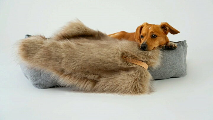 ファー ブランケット 犬 小型犬 気持ちいい 冬用 ウィペット 洗える 犬用 ドッグベッド 北欧 インポート 犬ベッド グレージュ 暖かい アイボリー