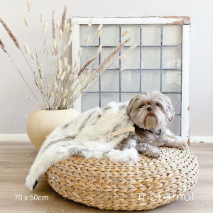 犬 ベッド インテリアの人気商品 通販 価格比較 価格 Com