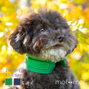 TCY MASIMALO {v Ch O[ lCr[ x[W k C|[g ɂ C^O ^ ^ ^ ɗD {v  킢  p ybgp 