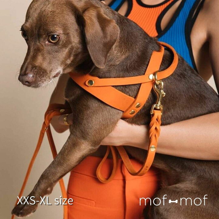楽天市場 サイズ交換無料 ハーネス オレンジ インポート 北欧 レザー スタイリッシュ 本革 小型犬 中型犬 大型犬 おしゃれ かわいい 海外ブランド 散歩 ハーネスベルト 正規品 胴輪 ブランド 高級 犬 ワイマラナー Mof Mof 北欧デザインのペット用品 楽天市場 サイズ交換無料 ハーネス オレンジ インポート 北欧 レザー スタイリッシュ 本革 小型犬 中型犬 大型犬 おしゃれ かわいい 海外ブランド 散歩 ハーネスベルト 正規品 胴輪 ブランド 高級 犬 ワイマラナー Mof Mof 北欧デザインのペット用品