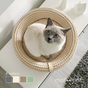  Lbgxbh ҂݃oXPbg O[ zCg uE O[ Lpxbh ^ C|[g k  L ˂ lR xbh X^CbVO[ ^ Lbgx