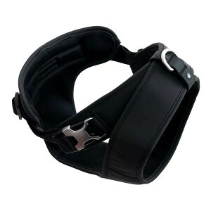 Pups & Bubs ZLeB[ n[lX eF x[W ubN  TCY  xg U ł Oo H y iCf ɂ LgfUC  o