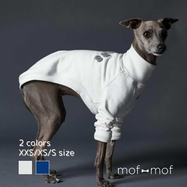 楽天市場】イタグレ 犬服 ドッグファッション イタリアングレー 