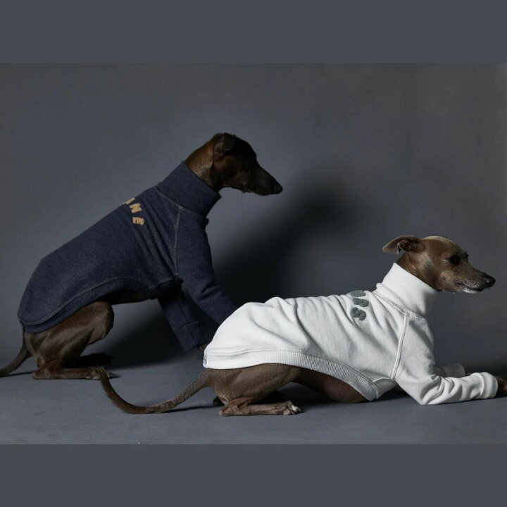 楽天市場】イタグレ 犬服 ドッグファッション イタリアングレー 
