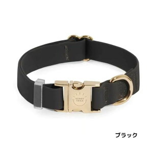 Sunny Tails TCY  h J[ h UObY k Ki i v p U  gCv[ O[ u[ uE ubN   F  P y g