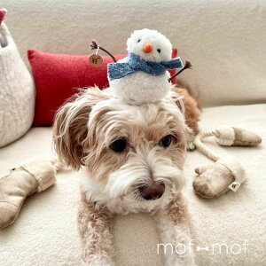 Wet Nose nXm[}Xq iNX}Xj p hbOgC Lp NX}X Xm[} Ⴞ   킢 CeA 􂦂 ybgp Mtg n