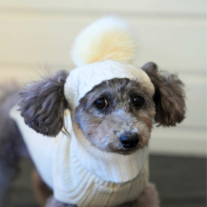 楽天市場】犬用ニット帽 woolwag カシミア ぽんぽん帽子 クリーム 
