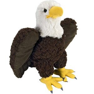 yX[p[Z[I|Cg5{IԌIzChpubN nNgEV ʂ 10919 ct80922