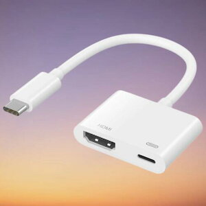 HDMI ϊA_v^ iPhone15/16 AndroidΉ QISI ^CvC HDMIP[u J[irڑ USB-C ϊA_v^[ YouTube/TVerΉ X}zʂerɏo dsv ʎ fW^fo ~[