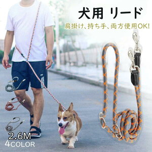 V_[[h | V_[ [h  [h p  [h   [h p [h ^ ^ ₷ \tgnh  V_[ t[nh ^ y