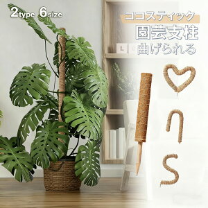 y|itzϗtA x Xex wS x RR XeBbN Ȃ RRXeBbN Xe x |x RR x |x K[fjOp RRibc x A