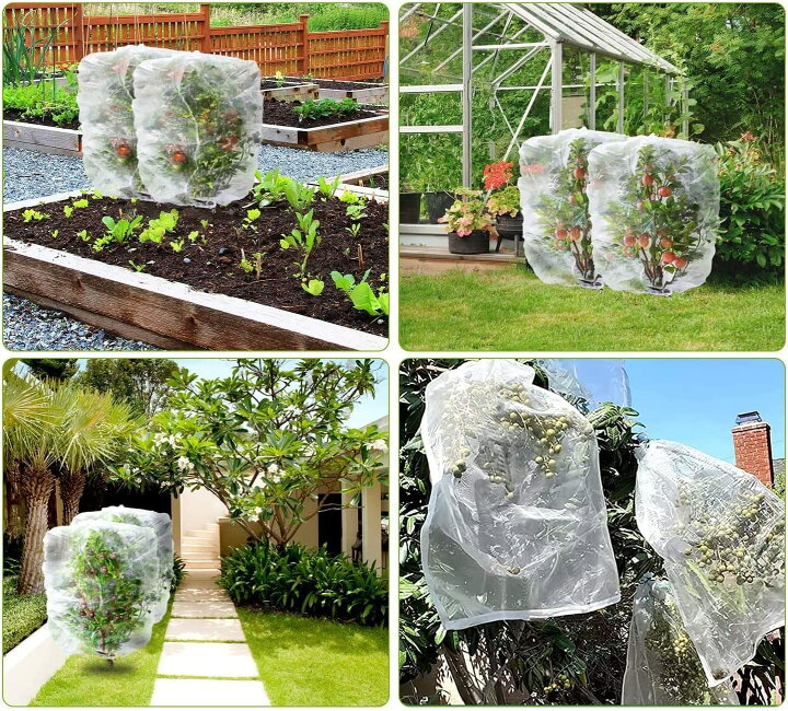 86%以上節約 SXFENG 植物保護カバー 防虫ネット 2個セット 防鳥ネット 園芸用ネット 菜園 プランター 花壇適用のホワイト透明 通気性 虫鳥除け網 防虫ネット 園芸野菜栽培 防鳥ネット 園芸用ネット 野菜栽培 防虫ネット 防虫シート 防虫網 菜園 プランター 花壇適用のホワイト透明 虫鳥除け網