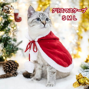 NX}X RXv ʔ  L ybg RX`[ 蕨 P[v p Lp }g  pi  ϑ ϐg  ^ ^ NX}X Cxg p[eB[  pi W