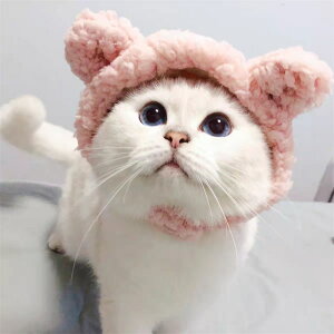 L Xq N} ybgpXq p Xq LbgXq LpXq 蕨  LbgEGA hbOEGA Ck  lR ˂ g H ~   n RX`[ ϐg 