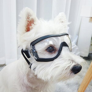 y50̕tN[|42ItzhbOS[O pTOX 21.5×6cm ^ c/NA yʖ56g