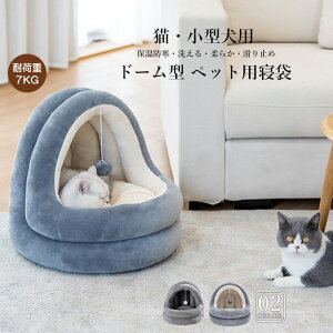 y50̕tN[|42Itzybgxbh ~ ӂӂ h[^@ ybgp @\t@ NbV }bg nEX  ObY@^ Lp@薰 􂦂