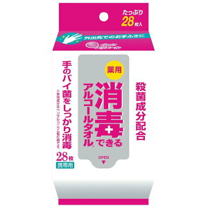 GG[ EFbgeBbV  AR[^Cv gїp 28 łłAR[^I [w򕔊Oi]