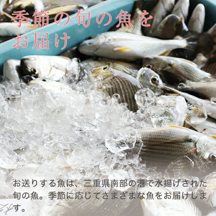 楽天市場 Mogcookのお魚離乳食 お魚フレークコース10 10パック 3種類 Mogcook モグック 離乳食 ベビーフード 離乳食初期 5ヶ月 白身魚 国産 三重県産 5ヶ月取り出し便利な個別冷凍 管理栄養士監修 グッドデザイン賞受賞 添加物不使用 子供 子ども ベビー 赤ちゃん