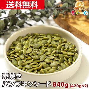 f̃pvLV[h[840g](420g×2) A~ `bN F TOMOGUCHI [ 䂤pPbg  َq  ޗ  َq ڂ J{` Z  VA VAo[ H g