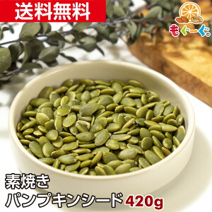 f̃pvLV[h[420g](420g×1) A~ `bN F TOMOGUCHI [ 䂤pPbg  َq  ޗ  َq ڂ J{` Z  VA VAo[ H g
