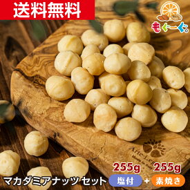 魅惑のマカダミアセット マカダミアナッツ塩付き255g+食塩不使用マカダミアナッツ255g オーストラリア産 ナッツ 木の実 塩付き ロカボ 送料無料 アルミ袋 チャック 工場直販 モグーグ 不飽和脂肪酸 オレイン酸 おつまみ ハーフ&ハーフ