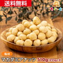 魅惑のマカダミアナッツ(塩付き)[510g](255g×2袋) オーストラリア産 マカダミア ナッツ 木の実 塩付き ロカボ 送料無料 アルミ袋 チャック 工場直販 モグーグ 不飽和脂肪酸 オレイン酸 パルミトレイン酸 抗酸化作用 美容 健康 おやつ おつまみ