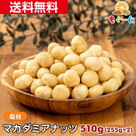 魅惑のマカダミアナッツ(塩付き)[510g](255g×2袋) オーストラリア産 マカダミア ナッツ 木の実 塩付き …