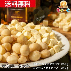 魅惑のマカチーセット マカダミアナッツ塩付き255g+フリーズドライチーズ240g オーストラリア産 ナッツ 送料無料 アルミ袋 チャック モグーグ 不飽和脂肪酸 オレイン酸 パルミトレイン酸 抗酸化作用 おつまみ 食べ方 ハーフ&ハーフ