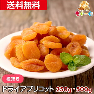 f̃hCAvRbg[250g][500g] gRY hCt[c sgp 픲 [ 䂤pPbg  `bN H꒼ O[O Om[ apricot t[c ʎ gC g