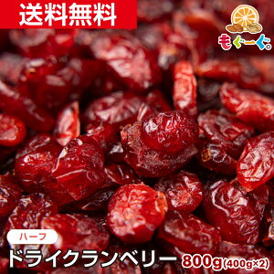 f̃hCNx[n[t[800g](400g×2) AJYhCt[c VRTv hC Y [  `bN H꒼ h{Lx |tFm[ vAgVAjW 