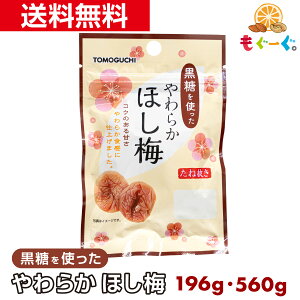 f̍g炩ق~ [196g][560g] Mtg aَq َq  v[g ~  E F   픲 ʂ Ȃ 햳 ~ Â