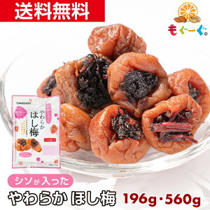 f̃V\炩ق~ [196g][560g] Mtg aَq َq  v[g ~  E F   픲 ʂ Ȃ 햳 ~
