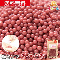 魅惑の梅ミンツ[300g・750g](150g×2袋・150g×5袋) 紀州産梅 大容量 大人買い 送料無料 工場直販 おやつ…