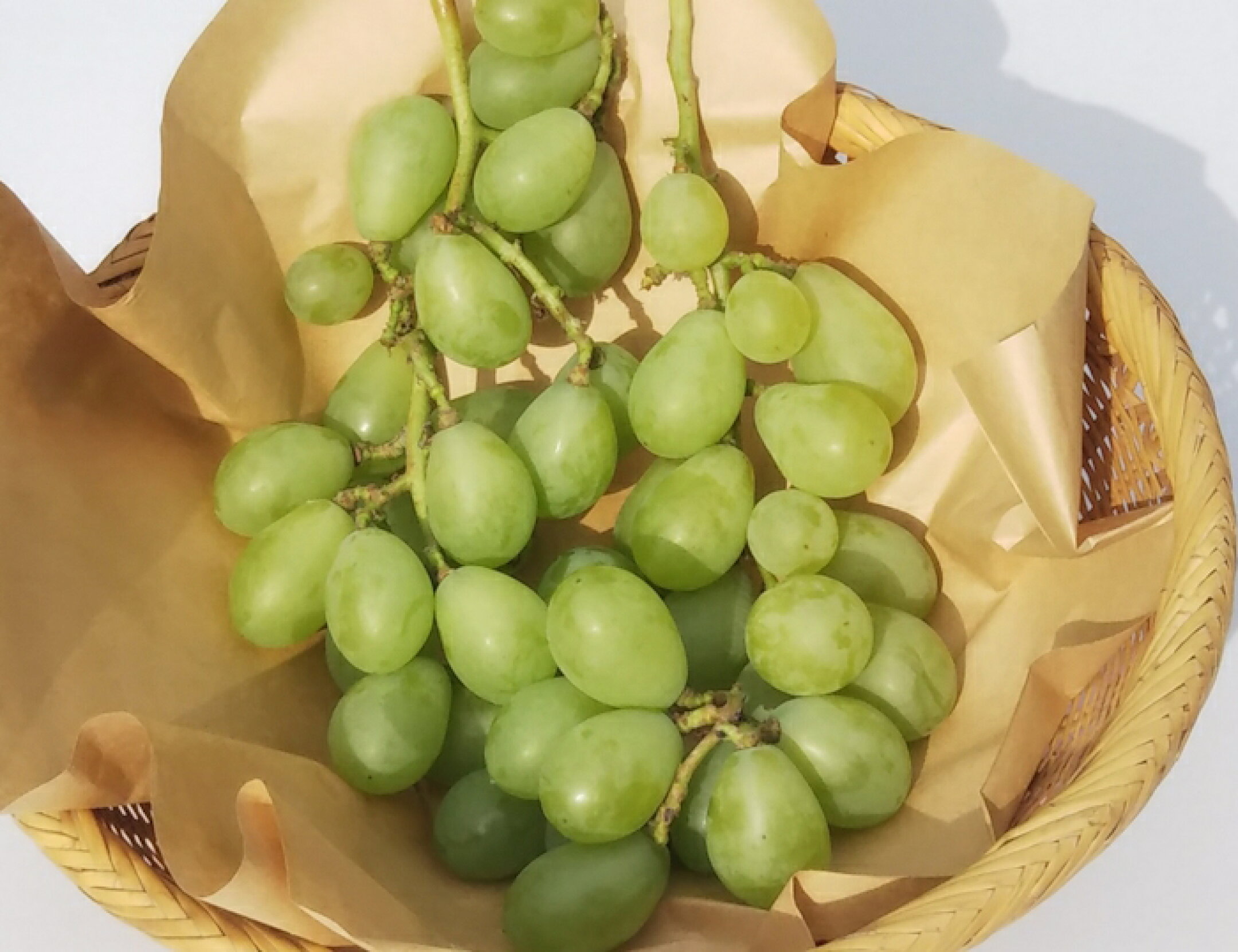 【自然栽培・自然農法】　プレミアムぶどう　5種から旬のブドウ